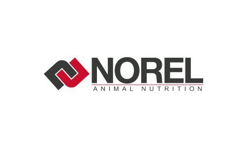 logo-Norel